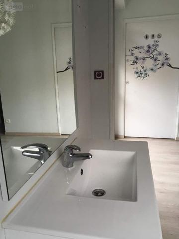 Murs commerciaux à louer à Janzé en Ille-et-Vilaine (35150), ref : 134/3501