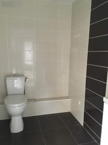 Murs commerciaux à louer à Janzé en Ille-et-Vilaine (35150), ref : 134/3501