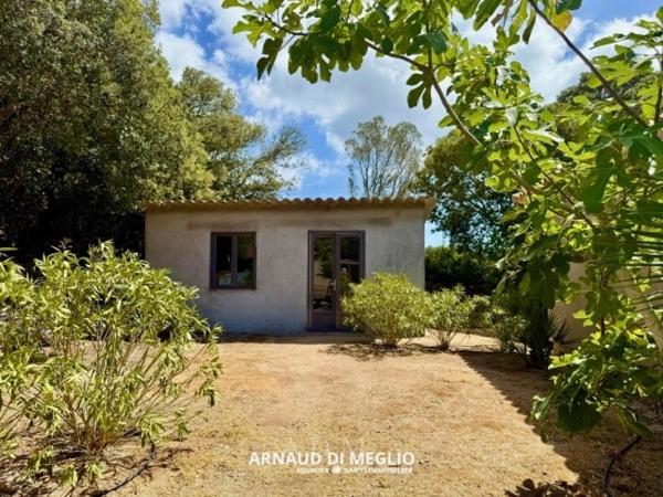 Propriété au calme dans la campagne bonifacienne