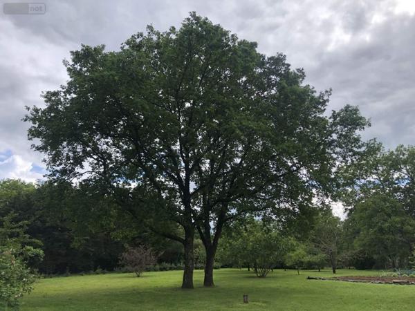 Maison à vendre à Saint-Benoît dans la Vienne (86280), ref : 018/965