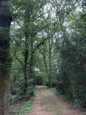 Maison à vendre à Saint-Benoît dans la Vienne (86280), ref : 018/965