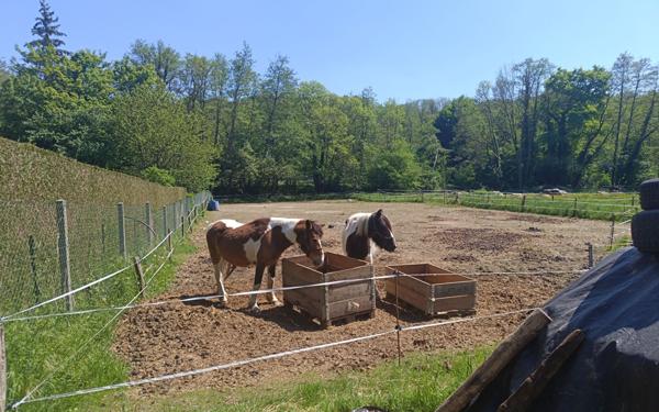 Terrain à vendre    Montreuil-aux-Lions