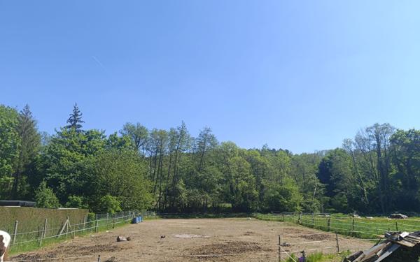 Terrain à vendre    Montreuil-aux-Lions