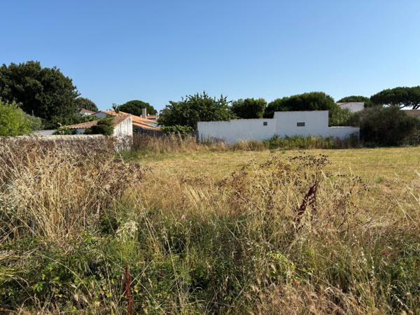 Terrain constructible Loix 854m2
