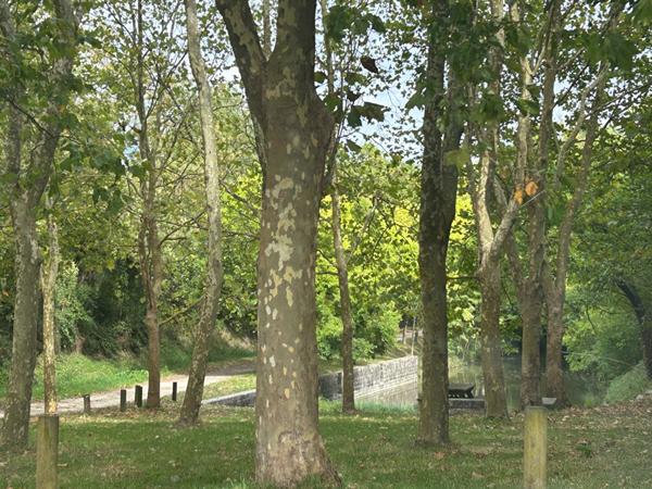 Maison - 5 pièces - 89 m²