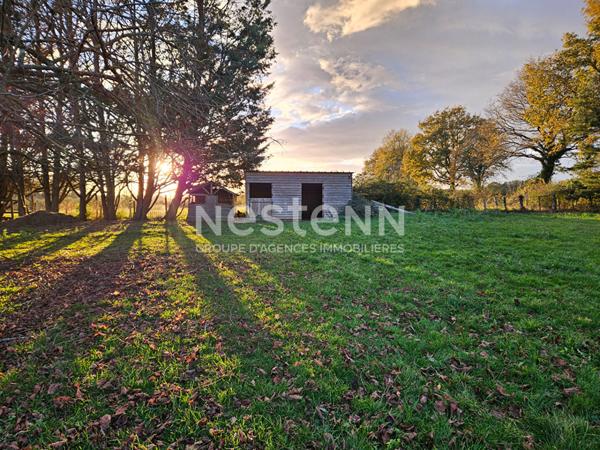 MAISON DE CHARME EN PLEINE CAMPAGNE 226M² Habitable sur 9000m² DE TERRAIN