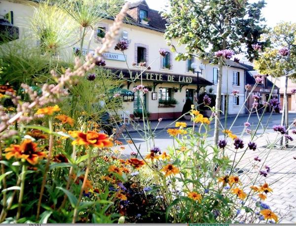 À vendre - Hôtel, hébergement 60 places situé à La Ferté-Imbault (41300)