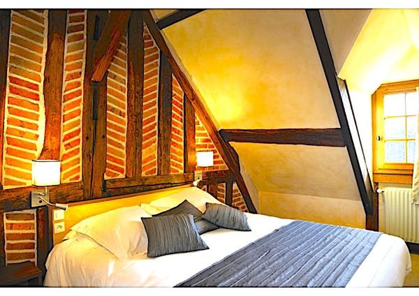 À vendre - Hôtel, hébergement 60 places situé à La Ferté-Imbault (41300)