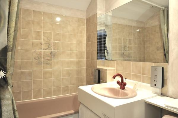 À vendre - Hôtel, hébergement 60 places situé à La Ferté-Imbault (41300)