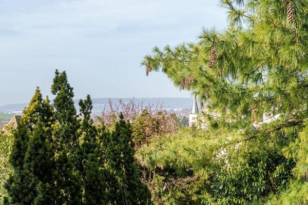 Maison d’architecte des années 80 avec vue imprenable