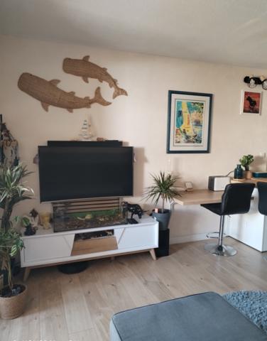 Le Grau-du-Roi (30240) T3 DUPLEX 55 m2