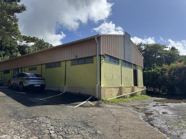 Vente murs / Local activité