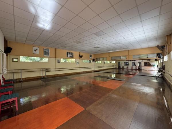 Vente murs / Local activité