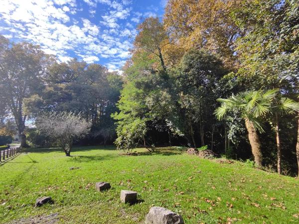 Ancien moulin du 19e avec parc arboré et piscine