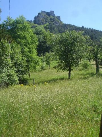 SALINS LES BAINS, terrain à bâtir 2.890 m² vue dominante, quartier très calme.