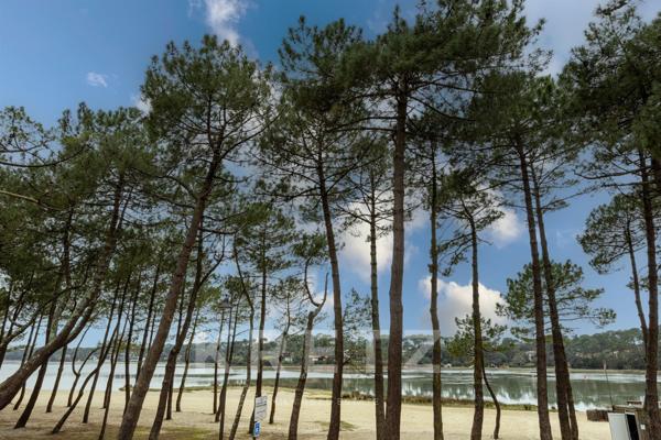 Harmonie et élégance sur les rives du lac d’Hossegor