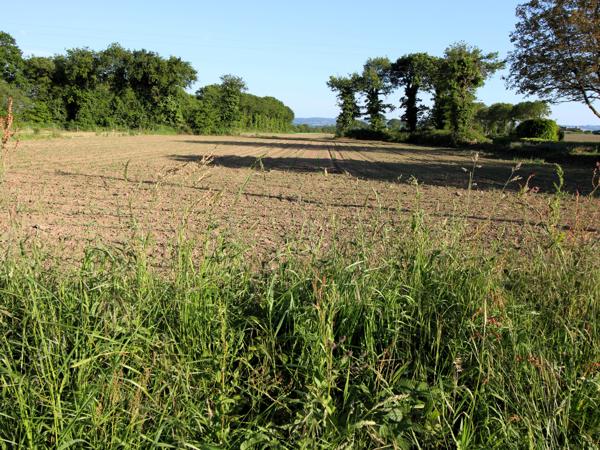 Terrain à vendre à Landeleau (29530) - Finistère