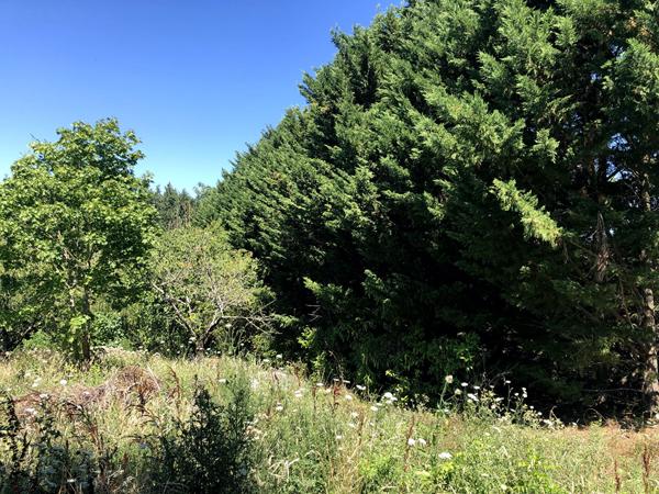 Achat terrain Auterive - 1371 m² - 93 400 €