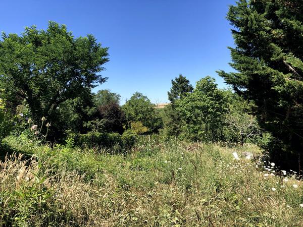 Achat terrain Auterive - 1371 m² - 93 400 €