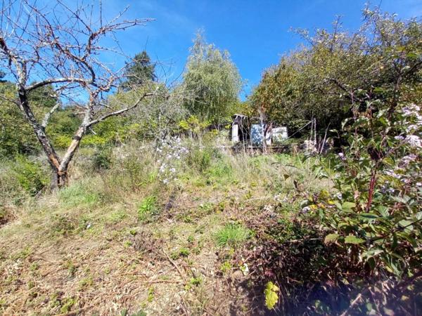 Ensemble immobilier A RESTAURER ENTIEREMENT comprenant maison de ville, appartement et 2 anciens ateliers de coutellerie