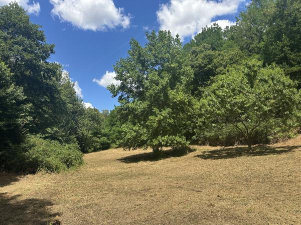 Maison à vendre à Nontron (24300) - Dordogne