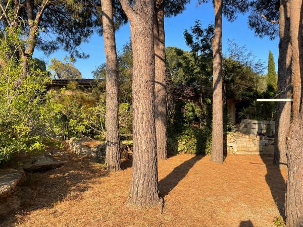 Vente / Maison avec dépendance