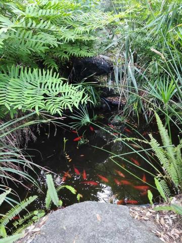 Vente / Maison avec dépendance