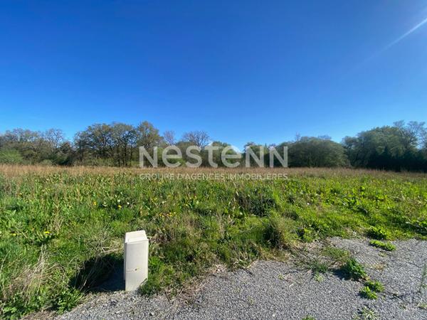 Terrain constructible viabilisé de 581m² en lotissement