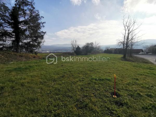 Terrain de 1 085 m²