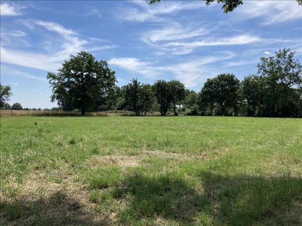 Terrain à vendre |  Nozières |  1960 m²