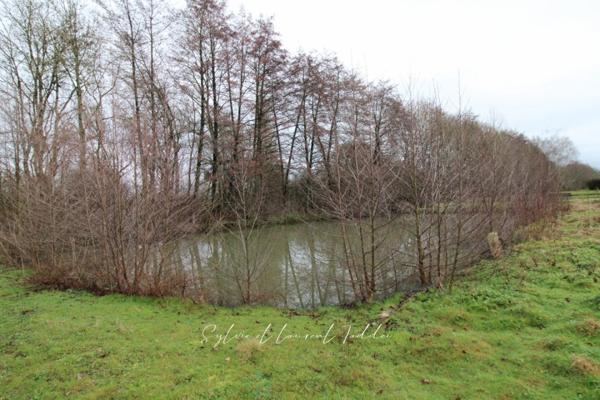 MAISON EN PIERRE A RENOVER - ENVIRONNEMENT CALME ET PRESERVE