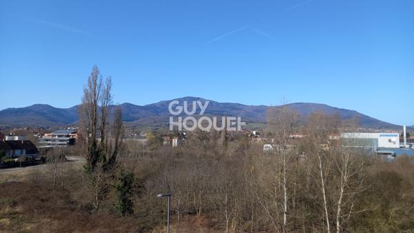 Appartement 4 pièces à vendre à Cernay - Dernier étage, grand standing