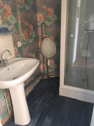 Appartement à vendre à Janzé en Ille-et-Vilaine (35150), ref : 134/4066