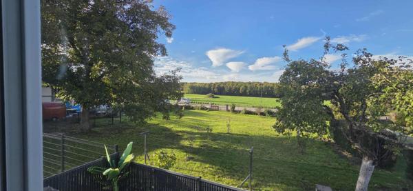 PLAISANT DUPLEX RENOVE AVEC TERRAIN + STATIONEMENTS.