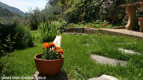 Breil-sur-Roya (06540) Maison dans les oliviers