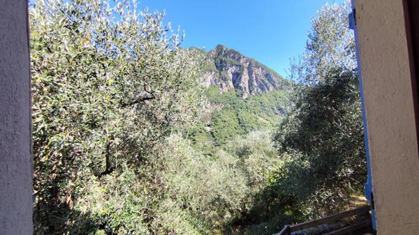 Breil-sur-Roya (06540) Maison dans les oliviers