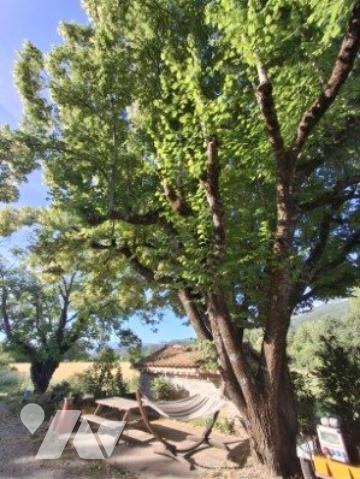 Maison T5 avec garage et véranda sur 9000m2 de jardin dans écrin de verdure