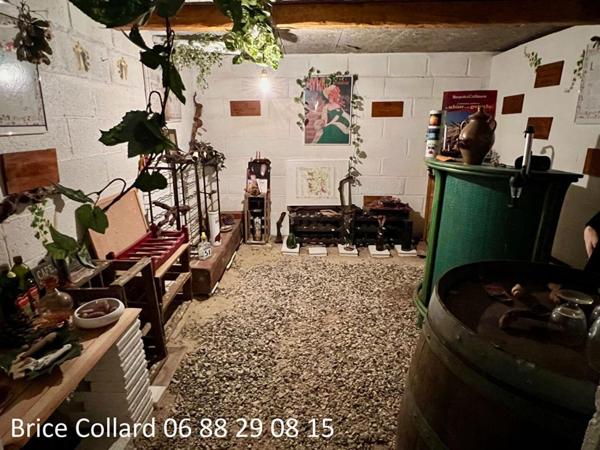 60180 NOGENT SUR OISE Pavillon 2 chambres garage cave jardin