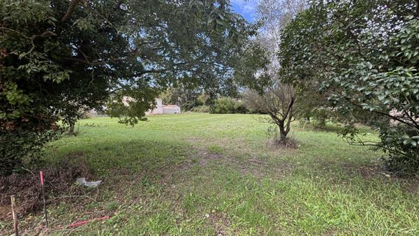 Vente / Terrain constructible