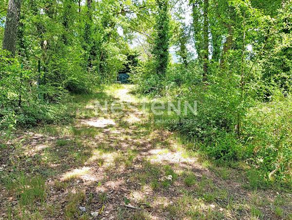 Maison 6 pièces à vendre à Saint Vallier de Thiey avec piscine et grand terrain
