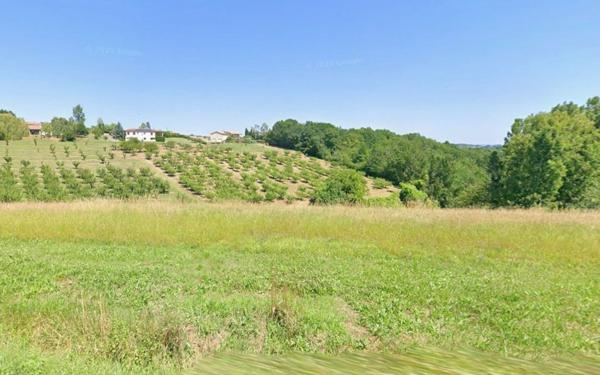 Terrain à vendre    Piquecos