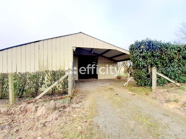 Maison 7 pièces - 149 m² Exclusivité efficity