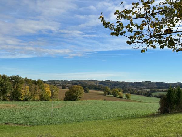 Dpt Gers (32) - à BELMONT terrain à vendre de 2694 m²