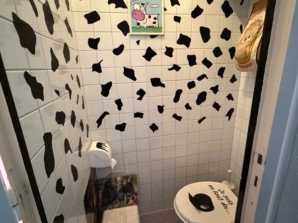 L'AIGUILLON SUR MER (85) PROCHE DU PLAN D'EAU VILLA ATYPIQUE BORD DE MER POSS 2 HABITATIONS AVEC JARDIN