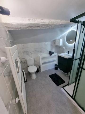 Duplex + studio meublé