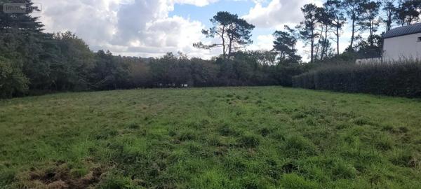 Achat - Terrain à bâtir | Terrain à bâtir Crozon 29160 500 m 2 1110 m 2