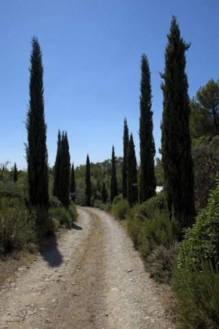 Maison à VELLERON (84740)