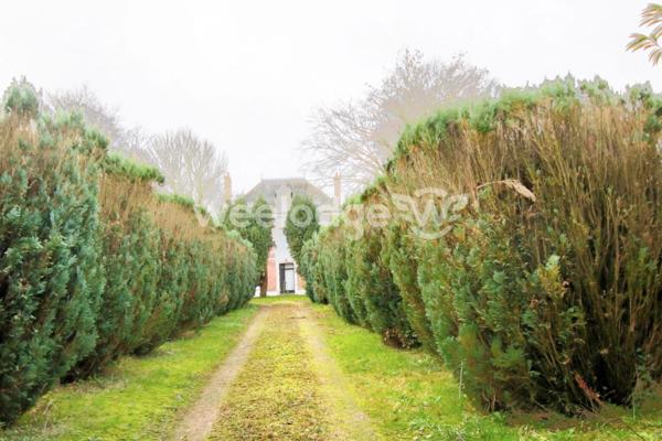Maison à vendre 12 pièces de 232 m² à Lisieux