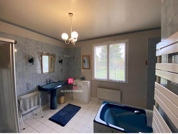 Maison St Denis Les Sens 5 pièce(s) 170 m2