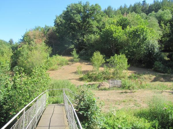 Une affaire à ne pas manquer : deux grands batiments de stockage, deux appartements plus un troisième en cours de finition sur un terrain de 7800 m², accès facile, site sécurisé.